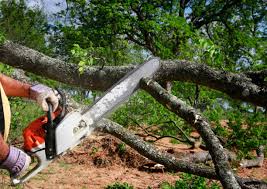 Seasonal Cleanup (Spring/Fall) in Netcong, NJ