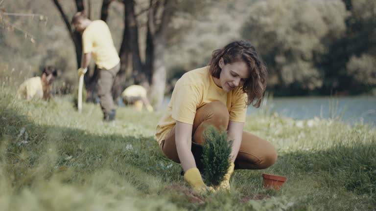 Lawn Renovation and Restoration in Netcong, NJ