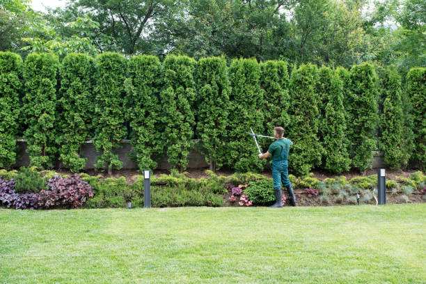 Best Hazardous Tree Removal  in Netcong, NJ